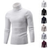 Mens Winter Turtleneck Knitted Sweater Long Sleeve Solid Jumper Knitwear Tops US