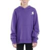 Carhartt girls Knit Long Sleeve Hoodedneck Sweatshirt, Ultra Violet, 6 Plus