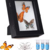 Insect Display Case Wall Mount Bug Display Case Collection Box New...