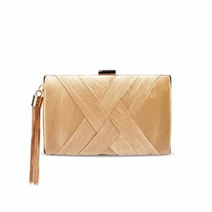 zebrum Womens Evening Clutch Bag Designer Evening Handbag,Lady Party Clutch Purse, Great Gift Choice (Elegant Tassel-Gold)