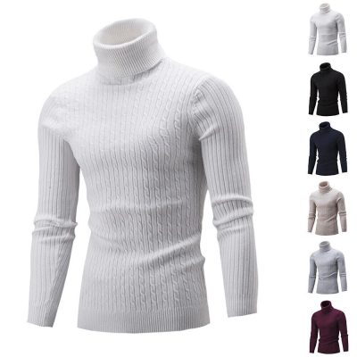 Mens Winter Turtleneck Knitted Sweater Long Sleeve Solid Jumper Knitwear Tops US