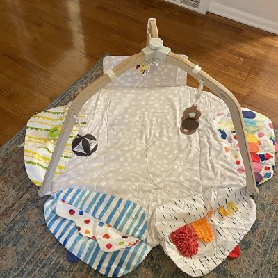 NEW The Play Gym by Lovevery | Stage-Based Developmental Activity Gym Play Mat